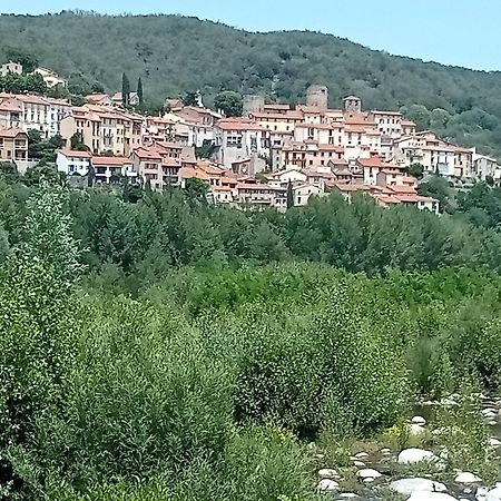 Studio Renove Vue Montagne Amélie-les-Bains-Palalda Extérieur photo