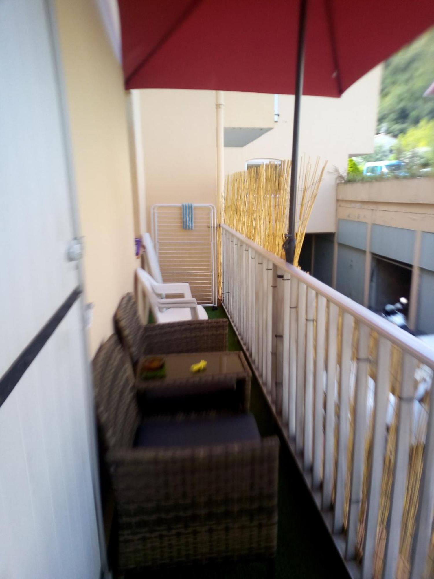 Studio Renove Vue Montagne Amélie-les-Bains-Palalda Extérieur photo