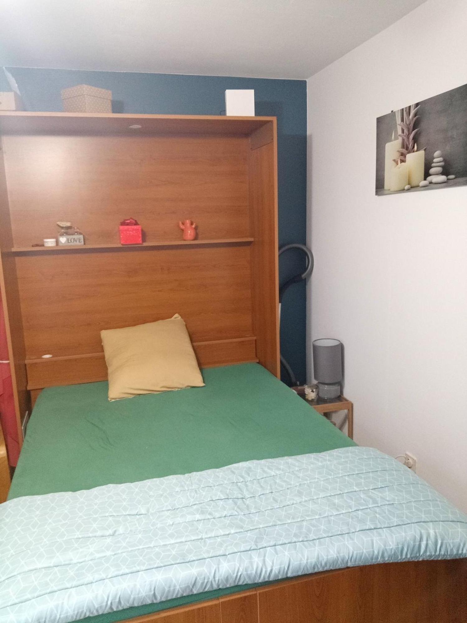 Studio Renove Vue Montagne Amélie-les-Bains-Palalda Extérieur photo