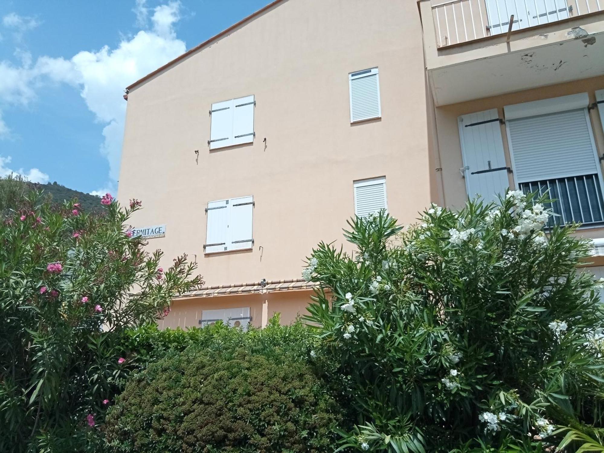 Studio Renove Vue Montagne Amélie-les-Bains-Palalda Extérieur photo
